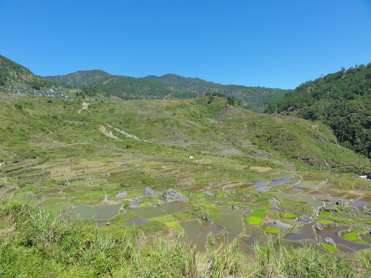 Rundreise Banaue Reisterrassen 