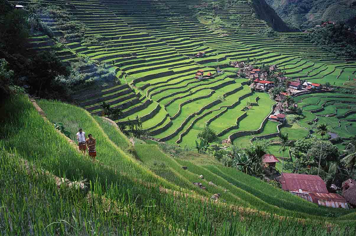 5 Tage Manila inklusive alt- & neu Manila Tour & 4 Tage "Banaue Reisterrassen" Rundreise 